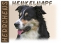 Preview: Fototasse Border Collie Herrchen/Frauchen