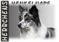 Preview: Fototasse Border Collie