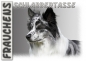 Preview: Fototasse Border Collie Herrchen/Frauchen