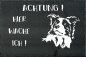 Preview: Schieferplatte Border Collie