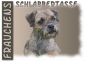 Preview: Fototasse Border Terrier