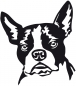 Preview: Aufkleber Boston Terrier Kopf