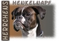 Preview: Fototasse Boxer Herrchen/Frauchen