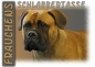 Preview: Fototasse Bullmastiff