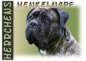 Preview: Fototasse Bullmastiff Herrchen/Frauchen