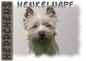 Preview: Fototasse Cairn Terrier Herrchen/Frauchen