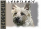 Preview: Fototasse Cairn Terrier Herrchen/Frauchen