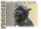 Preview: Fototasse Cairn Terrier