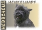 Preview: Fototasse Cairn Terrier Herrchen/Frauchen