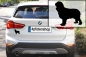 Preview: Autoaufkleber Cavalier King Charles Spaniel stehend Silhouette