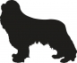 Preview: Cavalier King Charles Spaniel stehend Silhouette