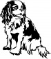 Preview: Aufkleber Cavalier King Charles Spaniel