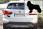 Preview: Autoaufkleber Cavalier King Charles Spaniel stehend Silhouette