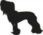 Preview: Chinese Crested Dog stehend Silhouette