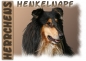 Preview: Fototasse Collie Herrchen/Frauchen