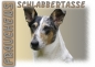 Preview: Fototasse Collie Herrchen/Frauchen