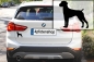 Preview: Autoaufkleber Deutsch Kurzhaar stehend Silhouette