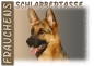 Preview: Fototasse Deutscher Schäferhund
