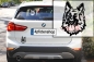Preview: Autoaufkleber "Deutscher Schäferhund" Kopf