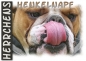 Preview: Fototasse Englische Bulldogge Herrchen/Frauchen