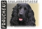 Preview: Fototasse Englischer Cocker Spaniel