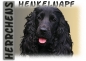 Preview: Fototasse Englischer Cocker Spaniel Herrchen/Frauchen