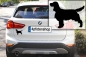 Preview: Autoaufkleber Englischer Springer Spaniel stehend Silhouette