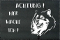 Preview: Schieferplatte Finnischer Lapphund (Suomenlapinkoira)