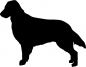 Preview: Flat-coated Retriever stehend Silhouette