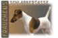 Preview: Fototasse Foxterrier Herrchen/Frauchen