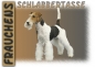 Preview: Fototasse Foxterrier Herrchen/Frauchen