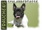 Preview: Fototasse Französische Bulldogge