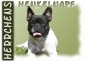 Preview: Fototasse Französische Bulldogge Herrchen/Frauchen