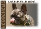 Preview: Fototasse Französische Bulldogge