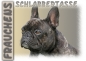 Preview: Fototasse Französische Bulldogge Herrchen/Frauchen