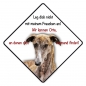 Preview: Aufkleber Galgo0001