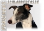 Preview: Fototasse Galgo (Spanischer Windhund) Herrchen/Frauchen