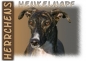 Preview: Fototasse Galgo (Spanischer Windhund) Herrchen/Frauchen