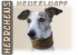 Preview: Fototasse Galgo (Spanischer Windhund) Herrchen/Frauchen