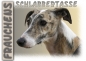 Preview: Fototasse Galgo (Spanischer Windhund) Herrchen/Frauchen