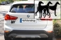 Preview: Autoaufkleber Galgo Gruppe Silhouette