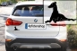 Preview: Autoaufkleber Galgo liegend Silhouette