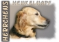 Preview: Fototasse Golden Retriever Herrchen/Frauchen