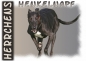 Preview: Fototasse Greyhound Herrchen/Frauchen