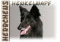 Preview: Fototasse Groenendael (Belgischer Schäferhund) Herrchen/Frauchen