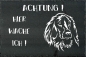 Preview: Schieferplatte Irish Setter