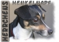 Preview: Fototasse Jack Russell Terrier Herrchen/Frauchen