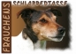 Preview: Fototasse Jack Russell Terrier