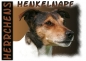 Preview: Fototasse Jack Russell Terrier Herrchen/Frauchen