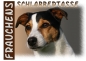 Preview: Fototasse Jack Russell Terrier Herrchen/Frauchen